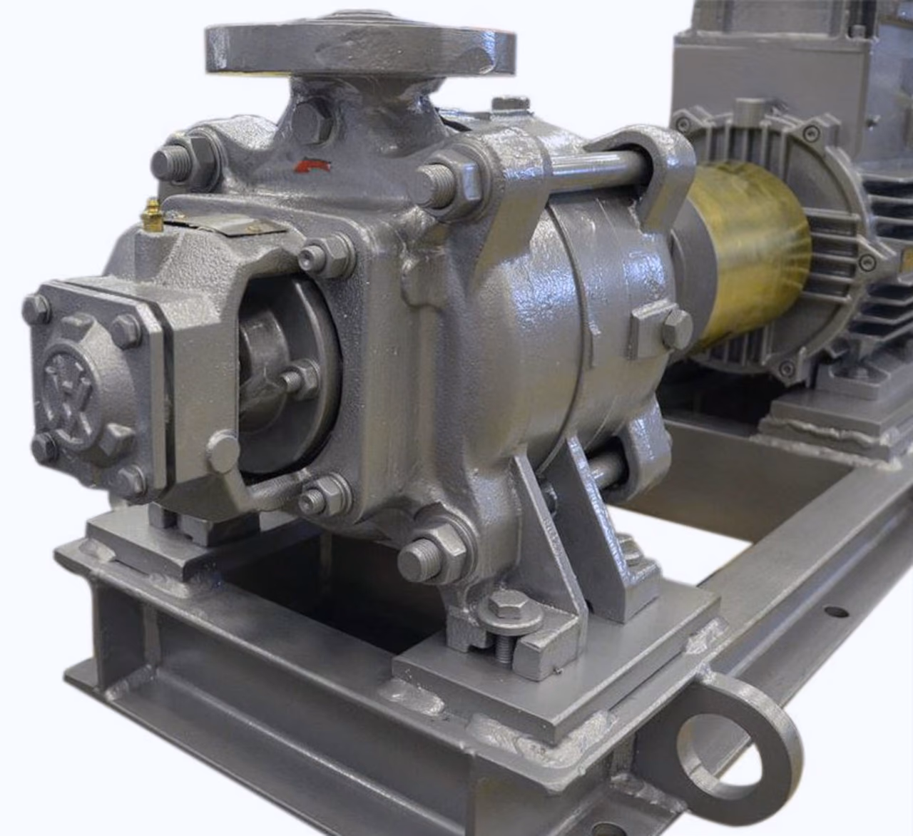 Mehrstufige Industriepumpe von hydro-vacuum auf Grundrahmen